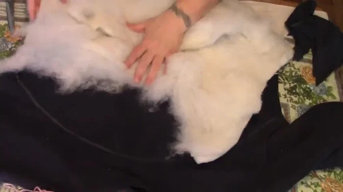 Prepare stuffing from an old pillow or batting.