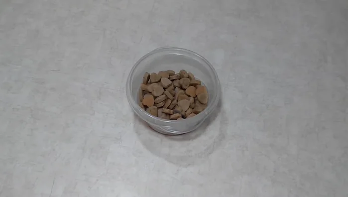 Let treats cool completely before serving.