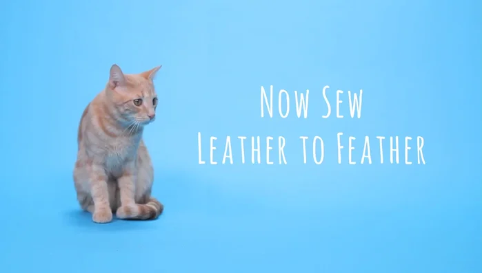 Add the bead: Slide the wooden bead onto the base of the feathers.