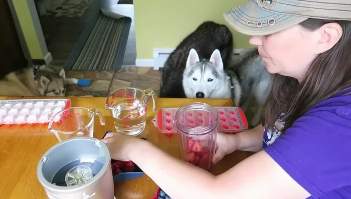 Pour the mixture into a star-shaped ice cube tray.