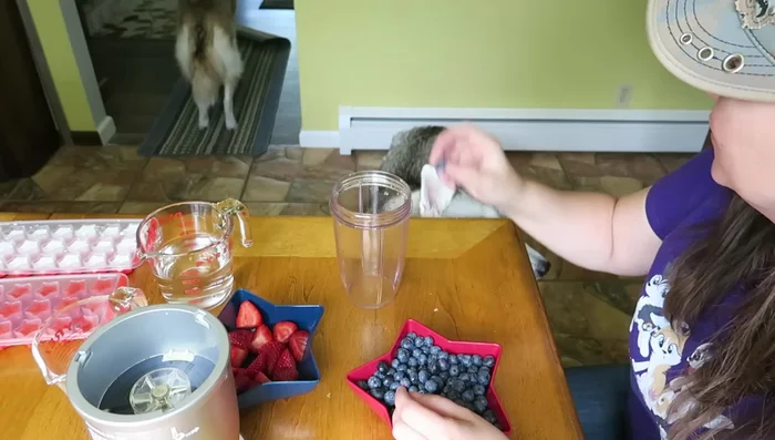 Pour the mixture into a star-shaped ice cube tray.