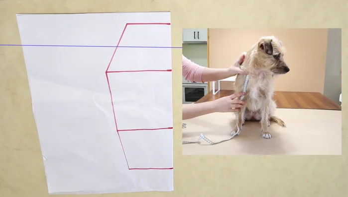 Add armholes: Mark the center of the armholes and draw circles with a radius determined by measuring your dog's front legs. Cut armholes out. Add seam allowance to top, bottom and sides if necessary.