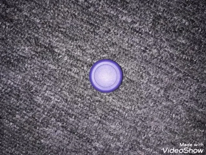 Make a Dog: Similar to the cat, use a bottle cap and create different shaped ears.