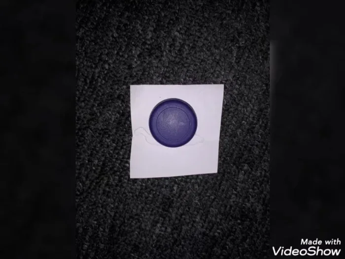 Make a Snail: Use a purple bottle cap and create a snail shape from paper, sticking it onto the cap.