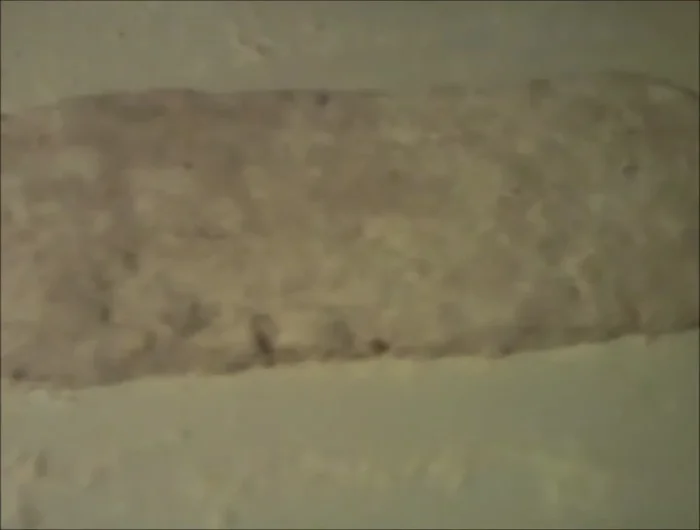 Remove dough, roll in flour, and shape into desired sizes.