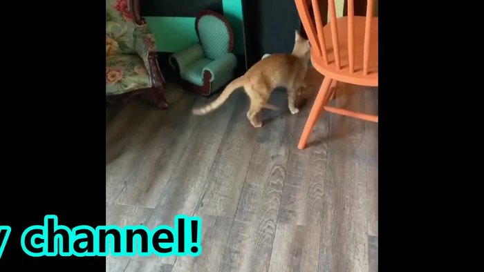 Cut out six fabric squares using the pattern.