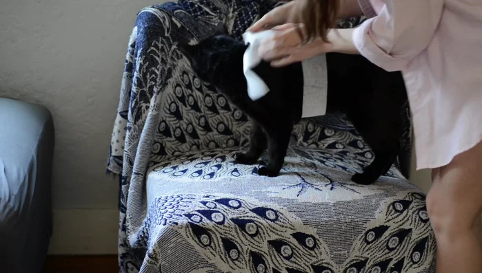 Add Bat Wings to the Pattern: Draw the bat wing shapes onto the pattern, including lines for decorative stitching and seam allowance.