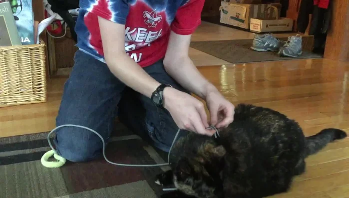 Attach the long leash rope to the point where the medium rope is tied to the cotton bands.