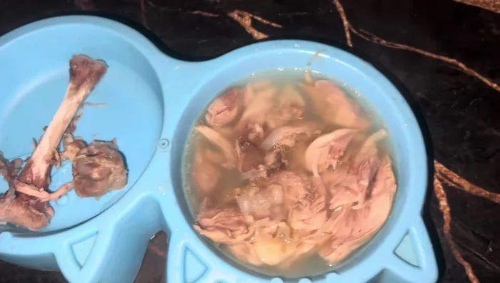 Allow the broth to cool completely before serving to your cat.