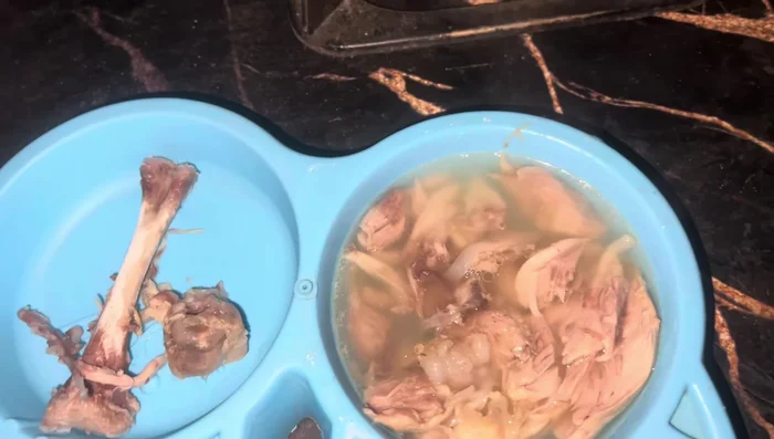 Optional: Add supplements like fish oil or Sunny D (a cat-specific supplement), if desired, to further boost the nutritional value of the broth.