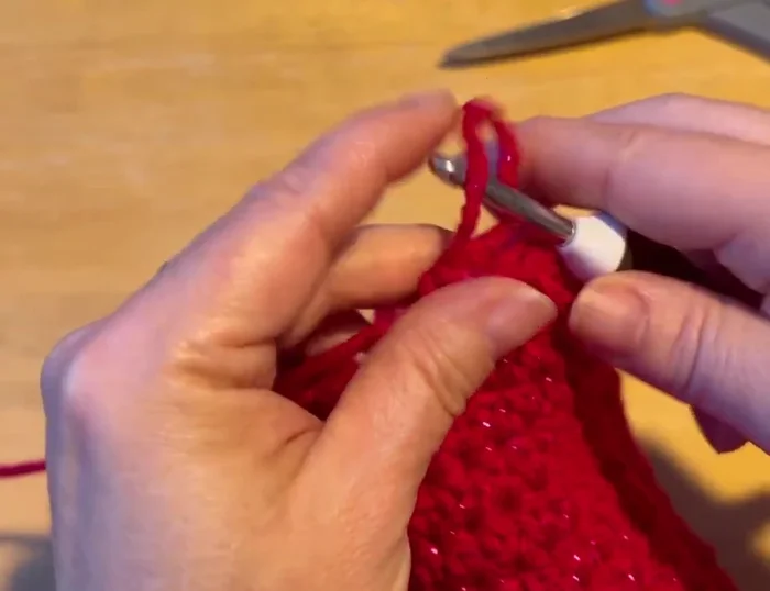 Work back and forth in rows on those 20 stitches for a total of 6 rows for the sleeve.