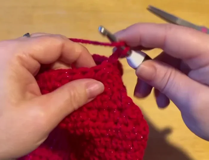 Slip stitch to fasten off the neck. Hide the ends.