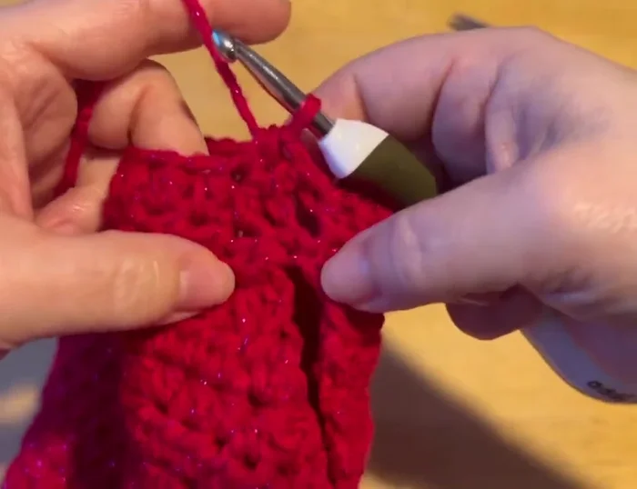 Slip stitch to fasten off the neck. Hide the ends.