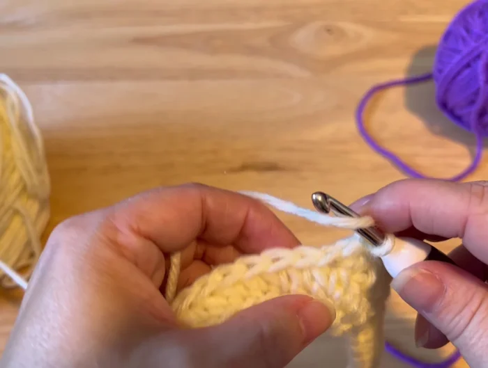 Slip stitch, change back to the original color, chain 2.