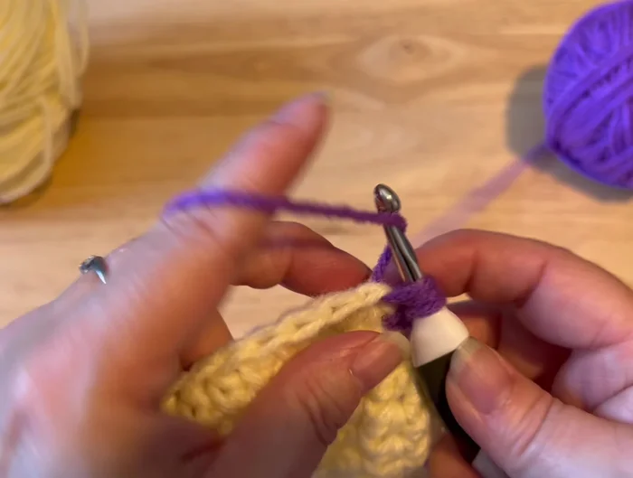 Slip stitch, change back to the original color, chain 2.