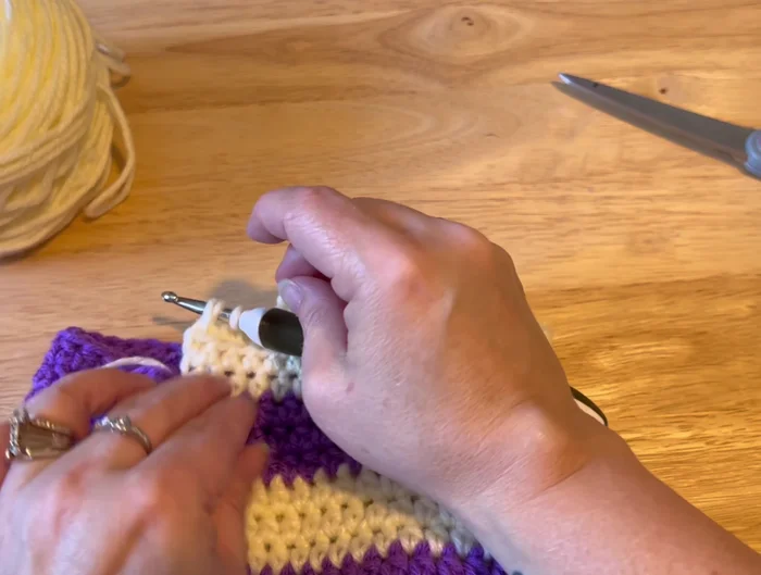 Chain 2, turn, work 3 more rows of 30 stitches.