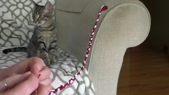 Sew across the end of the braid to secure it (using a sewing machine or hand-stitching).