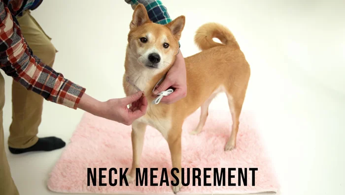 Measure your pet: Neck (at the base), Girth (around the chest), Length (base of neck to center of back leg). Add 1 inch to neck and girth measurements for comfort.