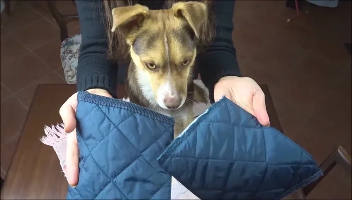 Sew the velvet edge along the raw edges of the hood.