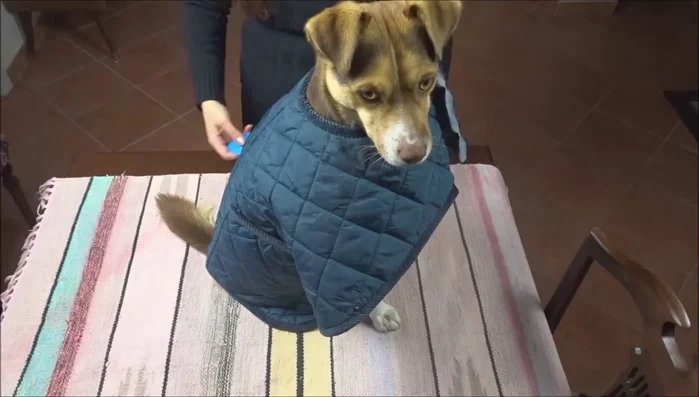 Cut out the vest pieces, leaving seam allowance.