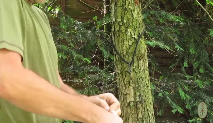 Prepare your materials and tools. Secure one end of the paracord to a fixed point (tree) using a rope.