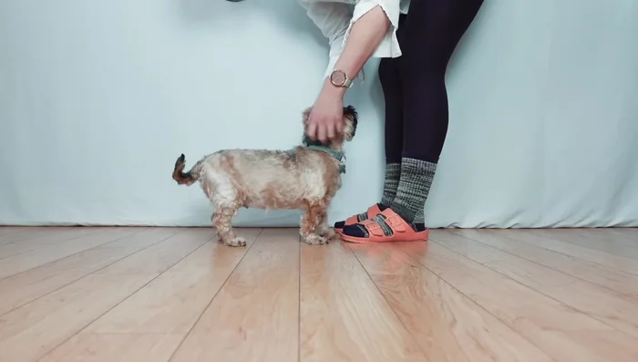 Finish the coat: Cut open the buttonhole, trim any excess fabric, and your coat is done!