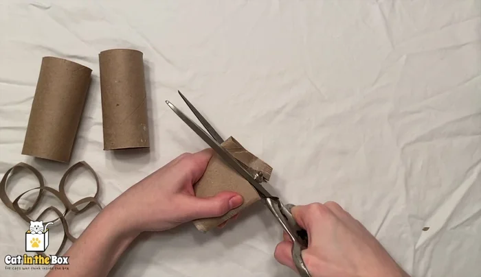 Cut the toilet paper tube into rings.