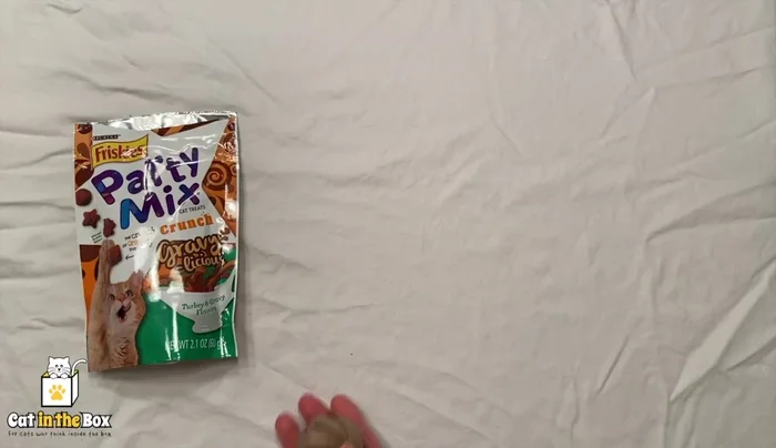 Optional: Add treats to the center of the ball.