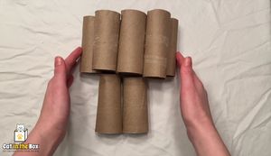 DIY Cat Toys: 3 Easy & Fun Projects Using Toilet Paper Tubes