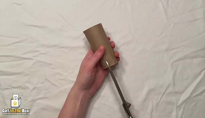 Create small slits all the way around the top of the toilet paper tube.