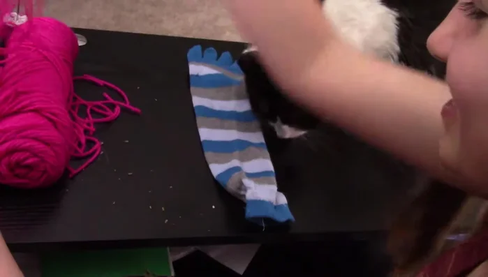 Continue layering catnip and yarn/cloth until the sock is full.