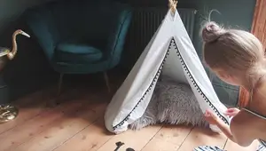 DIY Pet Teepee: The Easy Elastic Band Method