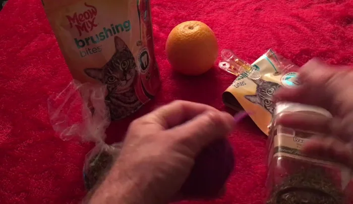 Place a cat treat in the center of the yarn.