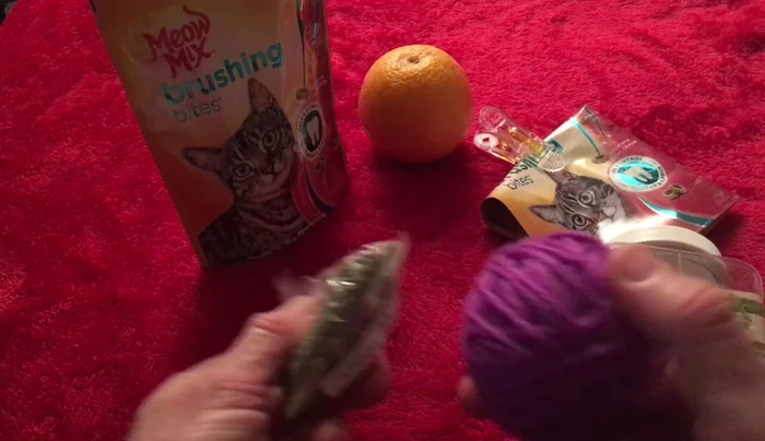 Continue adding treats and catnip until the ball is the desired size.