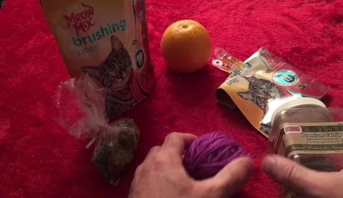 Give the finished cat treat ball to your cat.