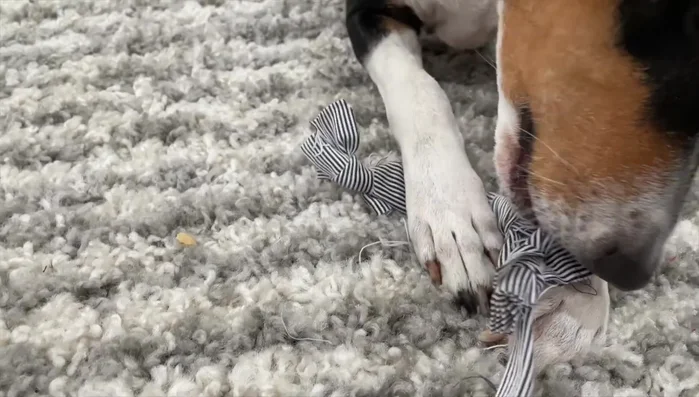 Hide treats between the folds.