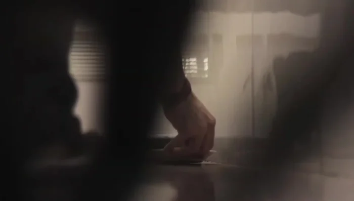 Remove from oven and let cool before giving to your cat.