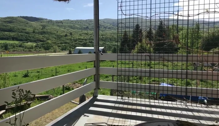 Smoke the skins at a low temperature for a couple of hours until crispy.