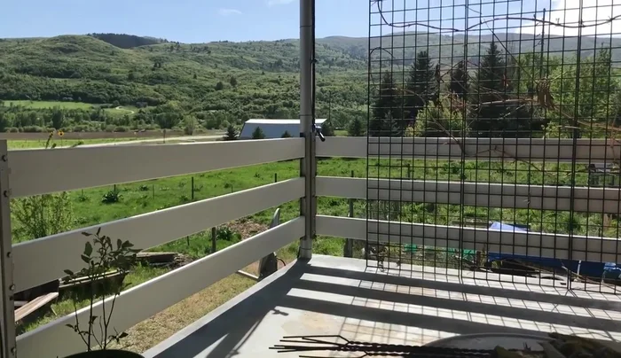 Remove fish skins once home.