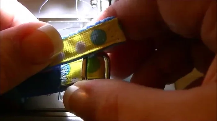 Insert the free end of the collar through the other side of the tri-glide.