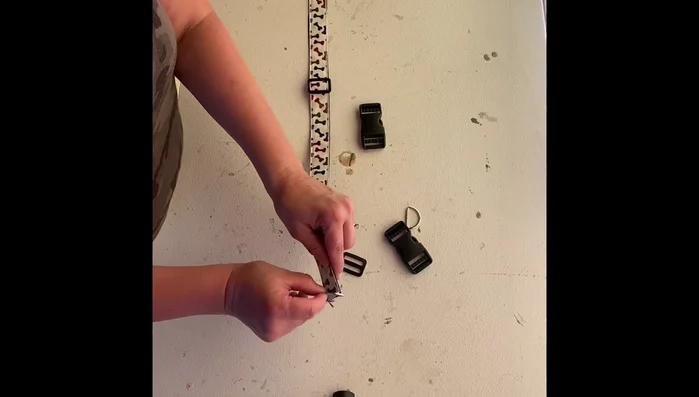 Stitch the D-ring to the collar, reinforcing it as well.