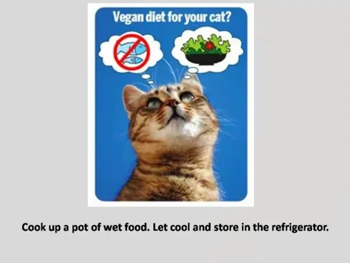 Cook a pot of wet food, let it cool, and store it in the refrigerator.