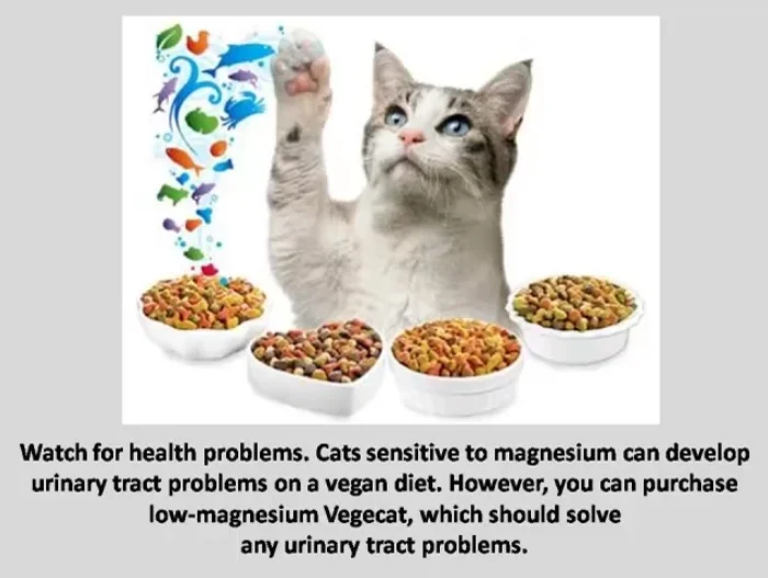 Monitor your cat for any health problems. Cats sensitive to magnesium might develop urinary tract issues. Using a low-magnesium vegan supplement like VegiCat should mitigate this risk.