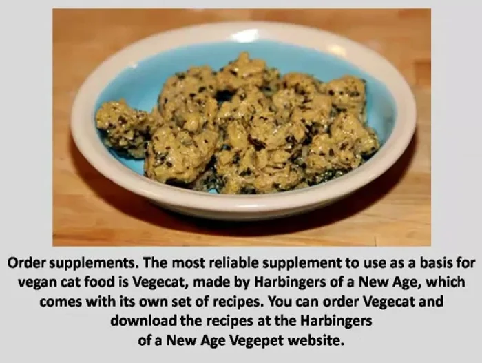 Monitor your cat for any health problems. Cats sensitive to magnesium might develop urinary tract issues. Using a low-magnesium vegan supplement like VegiCat should mitigate this risk.