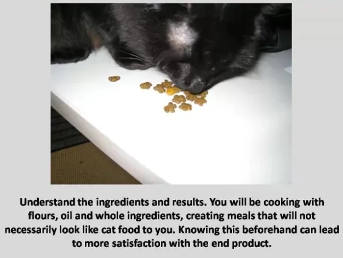 Understand that you'll be cooking with whole ingredients; the final product might not look like traditional cat food.