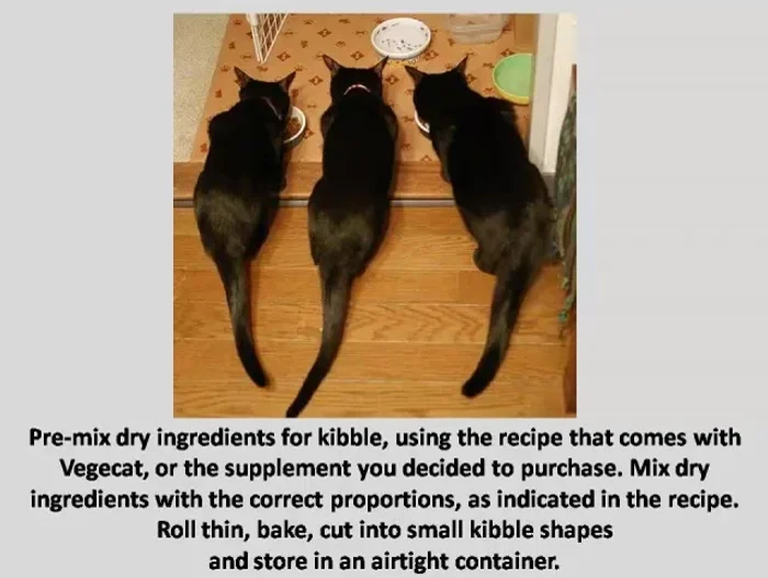 Preheat dry ingredients for kibble using the VegiCat recipe or your chosen supplement's instructions. Mix dry ingredients with the correct proportions, roll thin, bake, cut into small kibble shapes, and store in an airtight container.