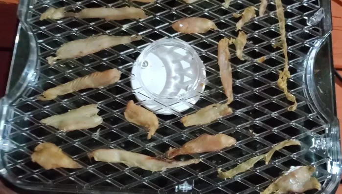 Check for dryness: After a couple of hours, check the treats for dryness. They should be crisp and not overly tender. Continue dehydrating if needed.