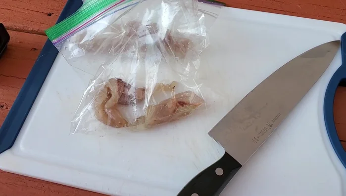 Dehydrate the fish: Place the sliced fish into a dehydrator. Set the temperature to approximately 150 degrees Fahrenheit (Note: video mentions it's done outside to avoid indoor smell).