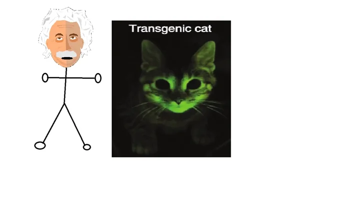 The resulting kitten will be bioluminescent.