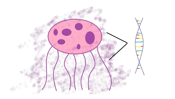 Extract the bioluminescent gene from a jellyfish.